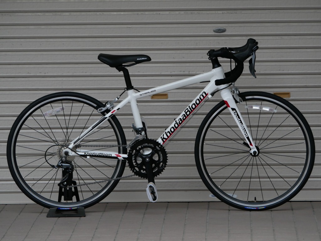 STRAUSS 24（ストラウス24）