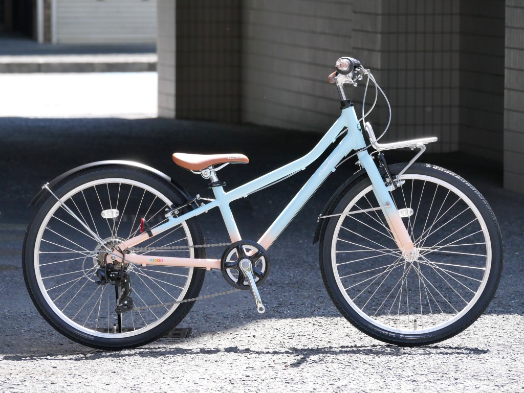 【取寄せ可能】SE asson J24（SEアッソンJ24）
