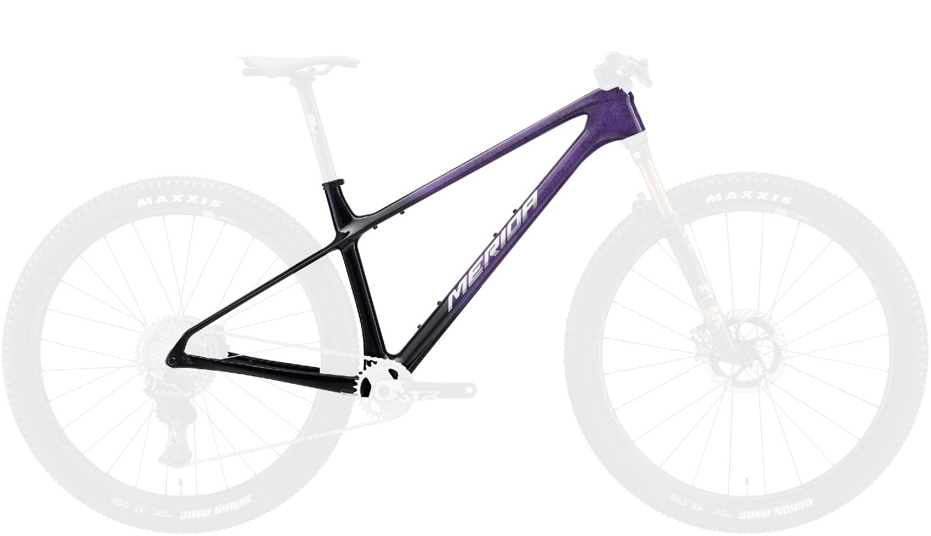 BIG.NINE 10K（ビッグナイン テンケー）　フレームセット