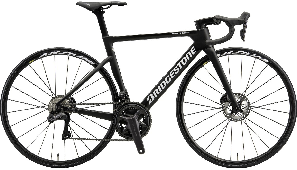 【取寄せ可能】RP9 105 Di2完成車