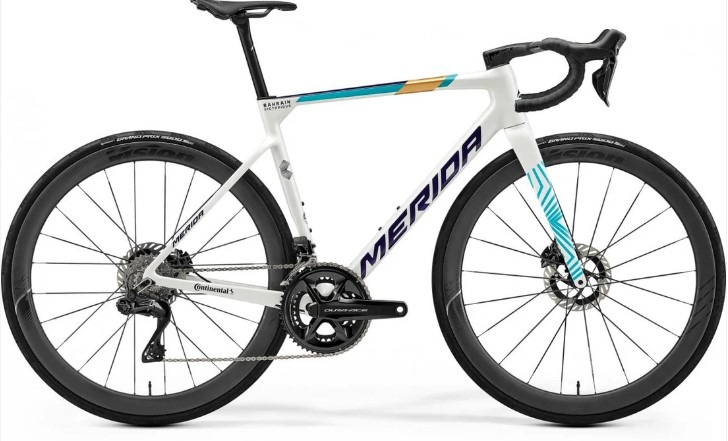 SCULTURA TEAM（スクルトゥーラ チーム）