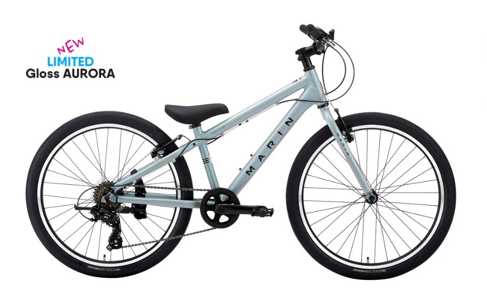 【一部取寄せ可能】DONKY JR 24 LTD (ドンキージュニア24 リミテッド)