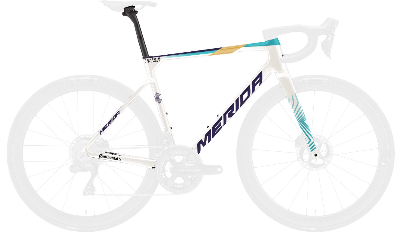 【12/26まで！取寄せ特価】SCULTURA TEAM（スクルトゥーラ チーム） フレームセット