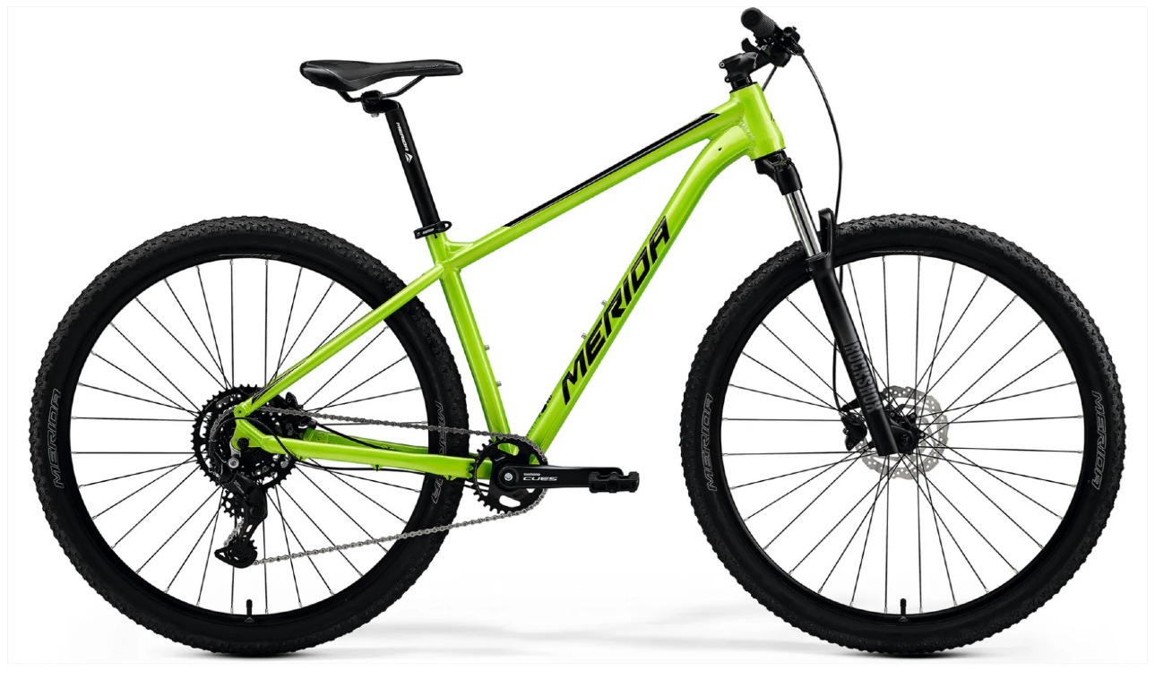 【12/26まで！取寄せ特価】BIG.NINE 80（ビッグナイン 80）