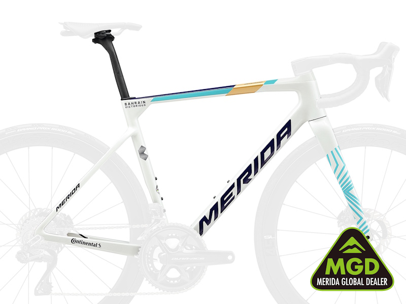 サイクルショップカンザキ千里店 / フレームセット