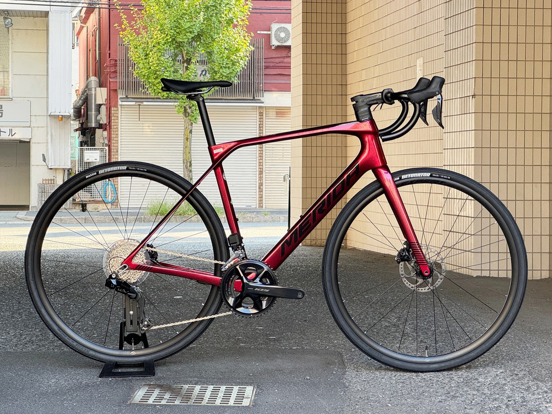 【3/30まで!取寄せ限定特価】SCULTURA ENDURANCE 6000