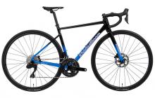 STRAUSS RACE 3 105 Di2完成車